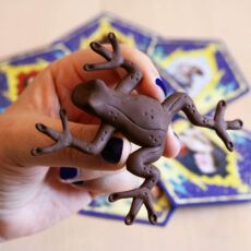Rana de Chocolate con cromo