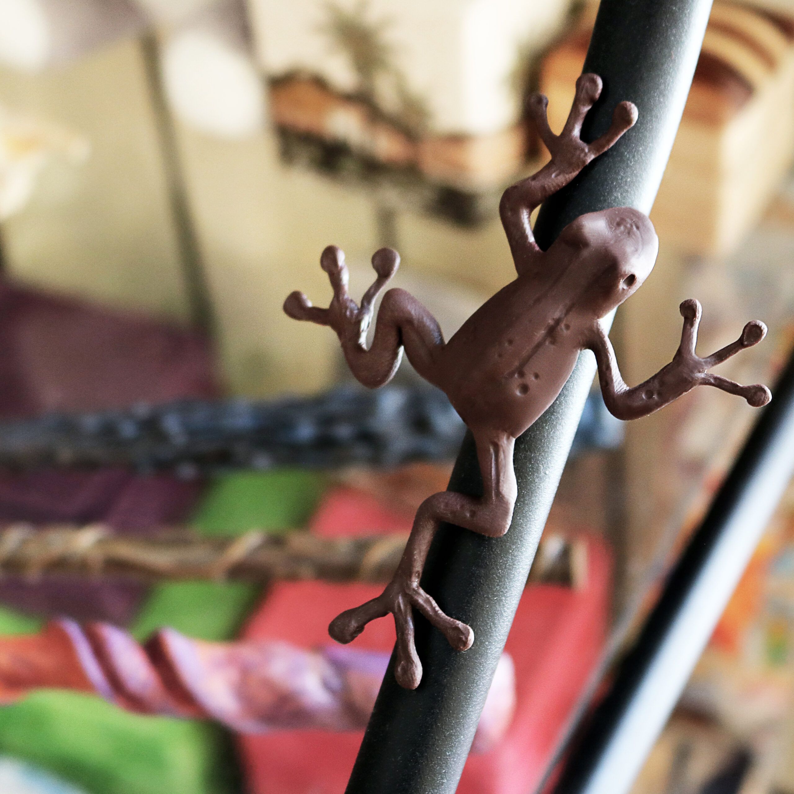 Rana de Chocolate con cromo - Imagen 6