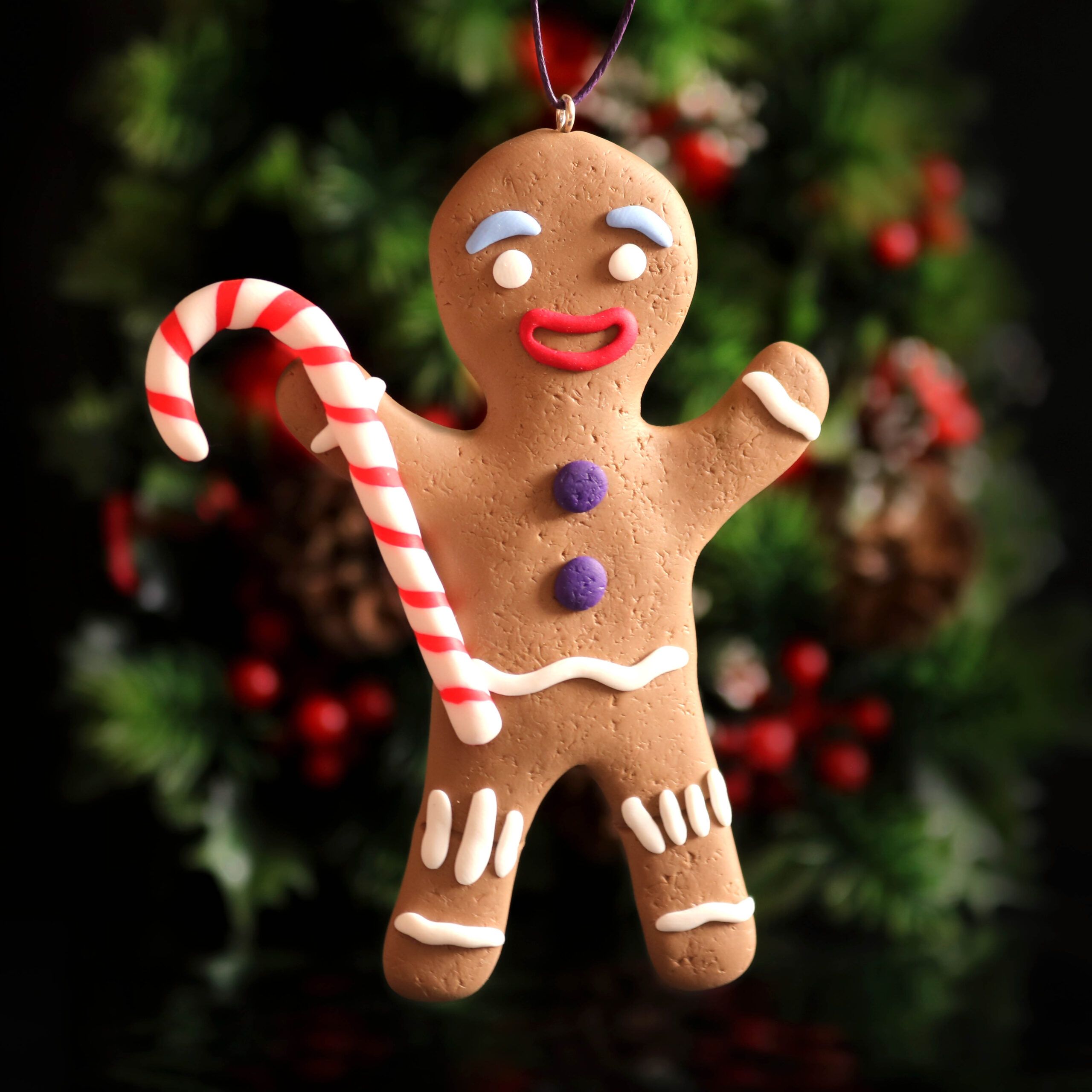 Galletas Jengibre - Imagen 8