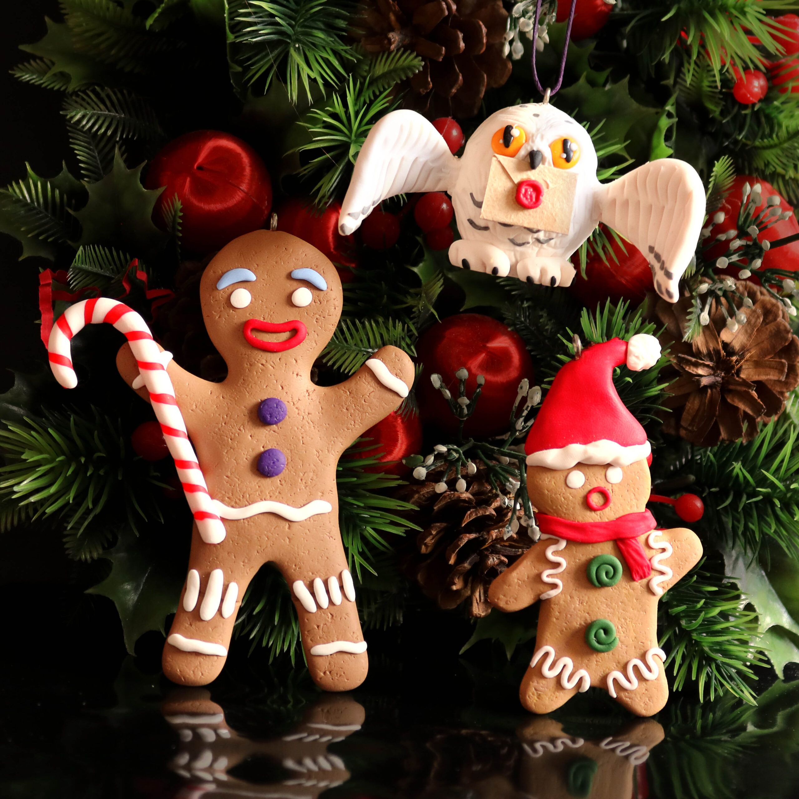 Galletas Jengibre - Imagen 9